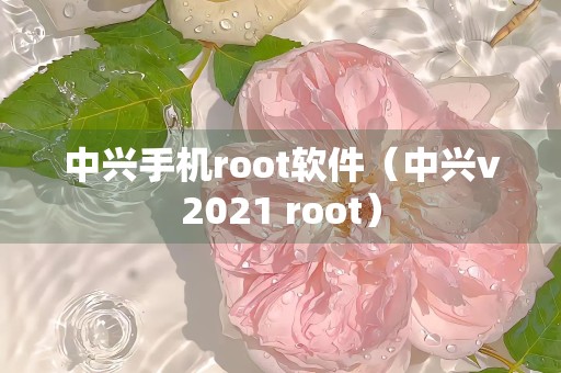 中兴手机root软件（中兴v2021 root）