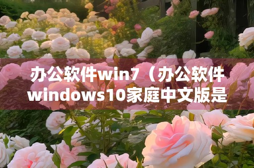办公软件win7（办公软件windows10家庭中文版是正版软件）