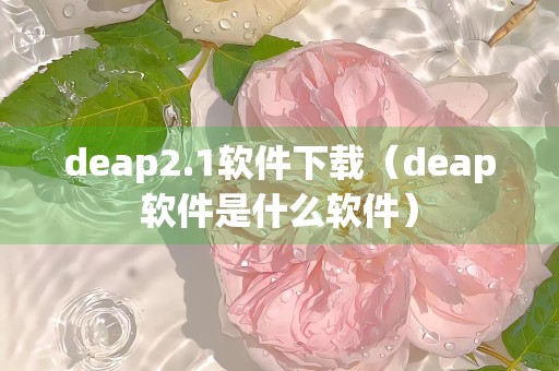 deap2.1软件下载（deap软件是什么软件）